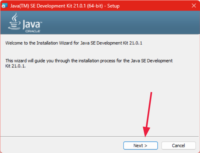 Paso 1 del instalador